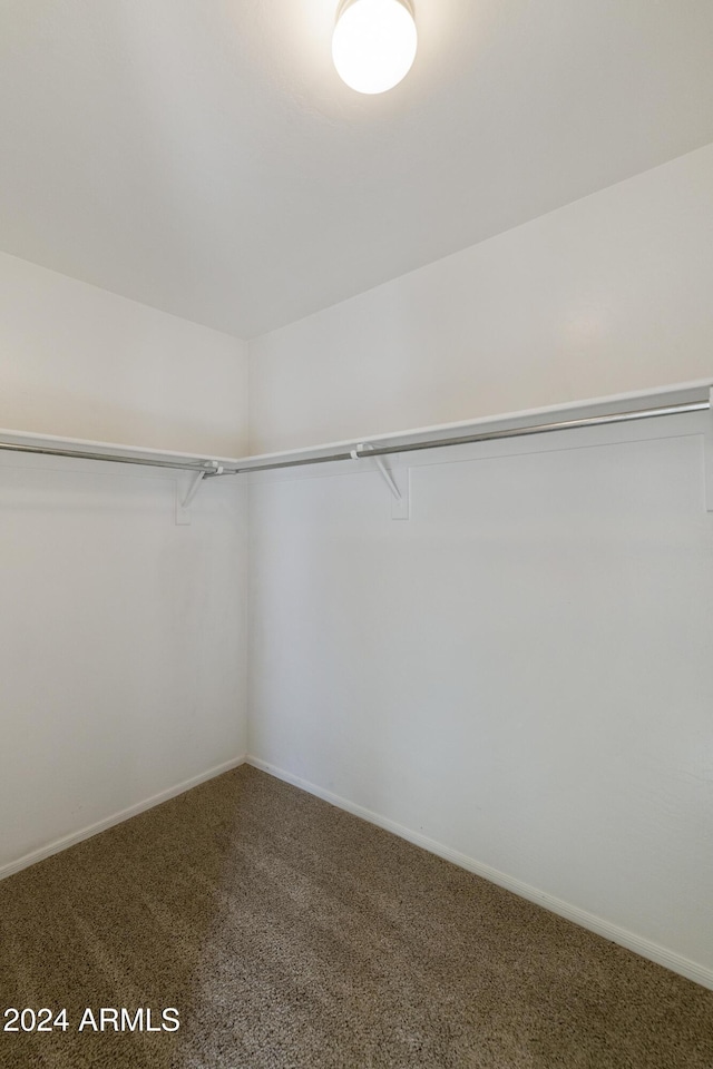 walk in closet with carpet