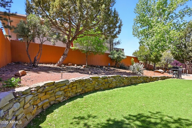 601 E Phoenix St, Payson, AZ 85541 - view of yard with fence