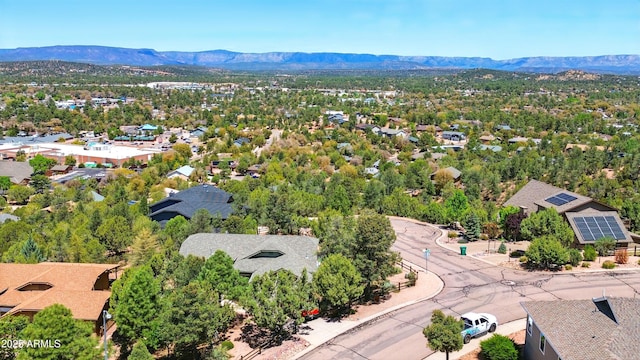 601 E Phoenix St, Payson, AZ 85541 - bird's eye view with a mountain view