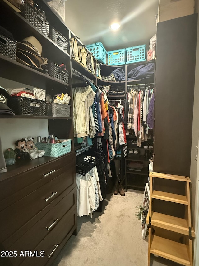 view of spacious closet