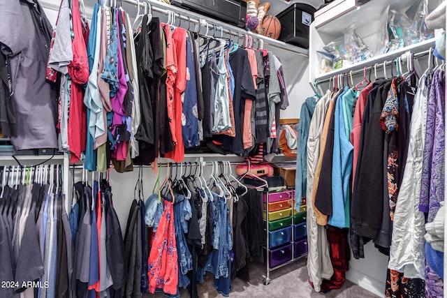 spacious closet with carpet floors