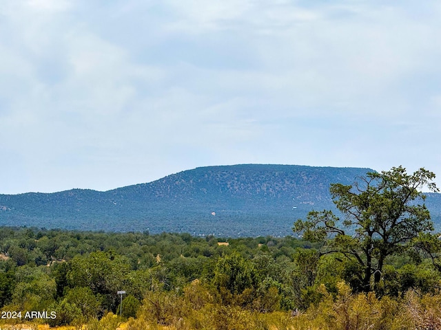 Listing photo 2 for TBD Waterloo Way -, Unit Seligman AZ 86337