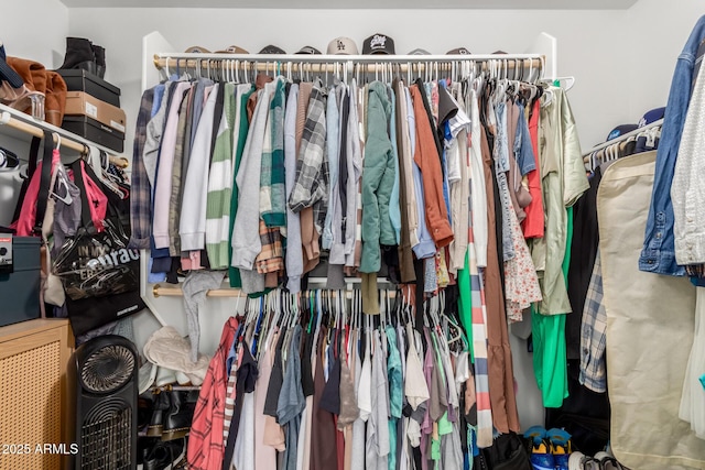 13380 N 148th Ave, Surprise, AZ 85379 - view of spacious closet