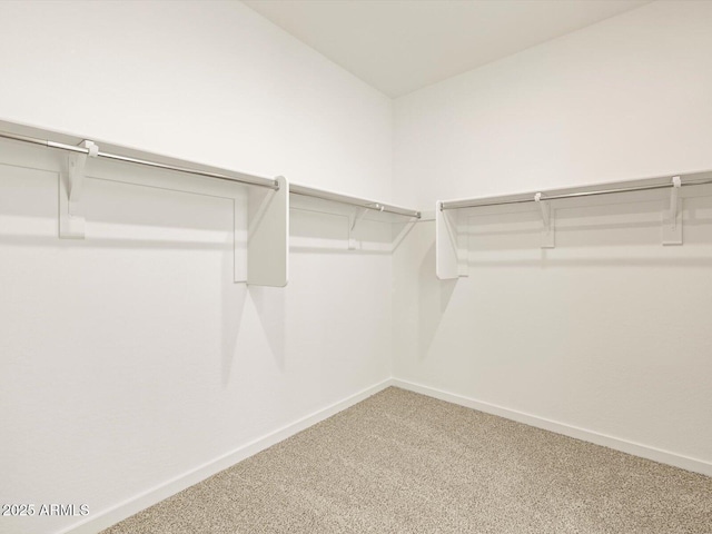 walk in closet with carpet