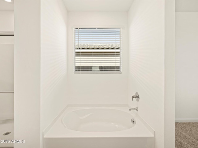 bathroom featuring a bathing tub