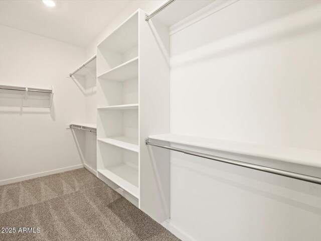 walk in closet featuring carpet flooring