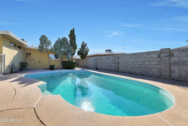 view of swimming pool featuring a patio area, a fenced in pool, and a fenced backyard