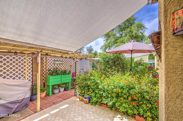 17374 W Adams St, Goodyear, AZ 85338 - view of patio / terrace