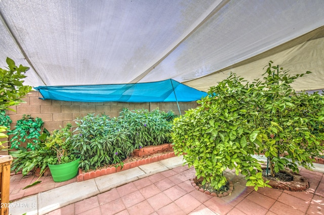 17374 W Adams St, Goodyear, AZ 85338 - view of patio / terrace