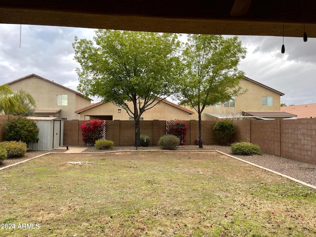 view of yard with a storage unit