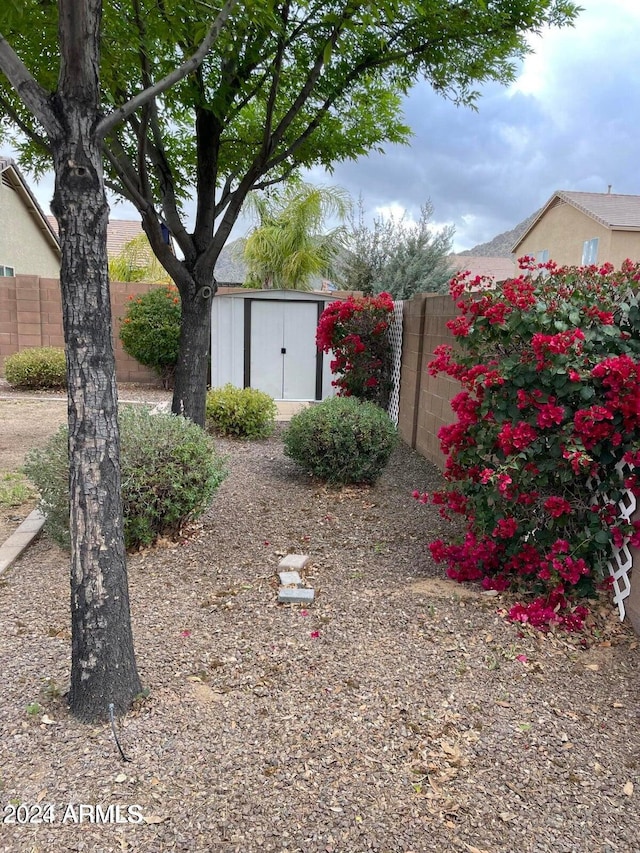 view of yard featuring a shed