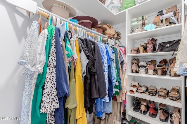 view of walk in closet