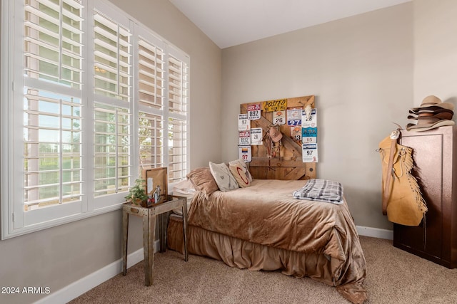 bedroom featuring carpet flooring