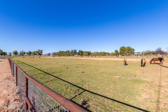 view of yard with a rural view