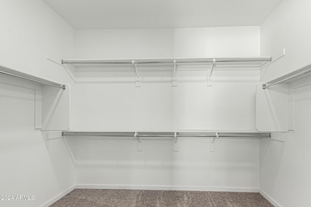 spacious closet with carpet floors