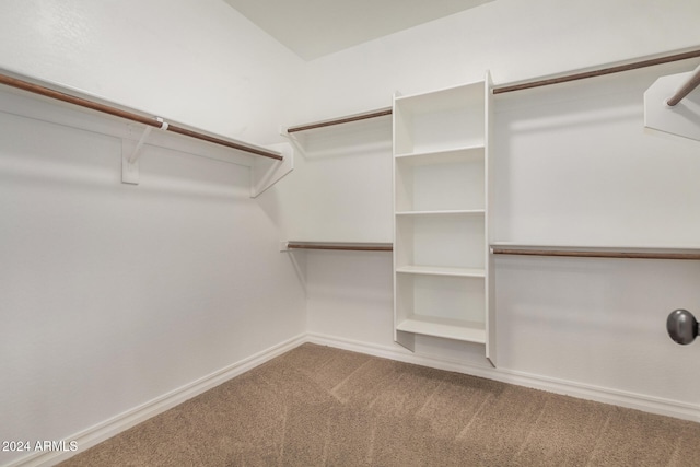 spacious closet with carpet flooring