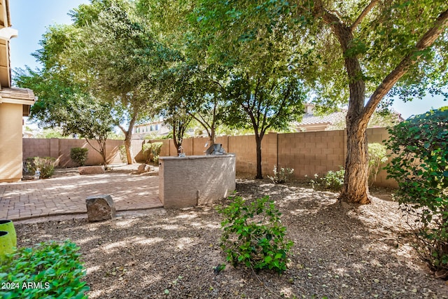 view of yard with a patio