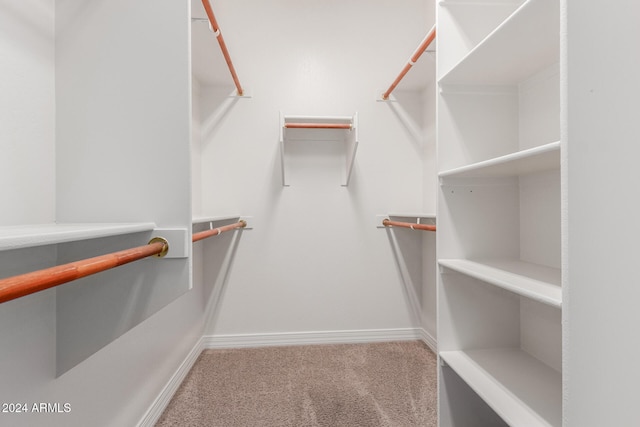 spacious closet featuring carpet floors