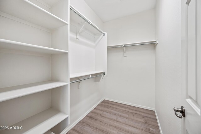 3850 E Geronimo St, Gilbert, AZ 85295 - walk in closet with wood finished floors