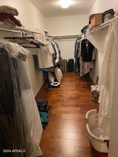 walk in closet featuring dark hardwood / wood-style floors