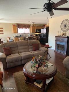 living room with ceiling fan and hardwood / wood-style floors