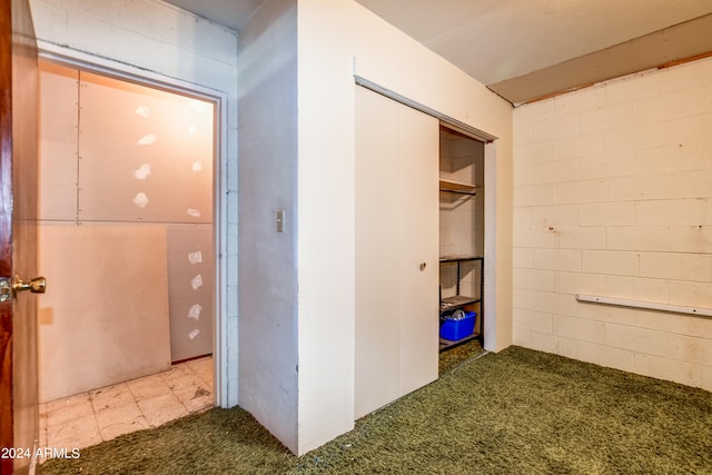 interior space with a closet and carpet flooring