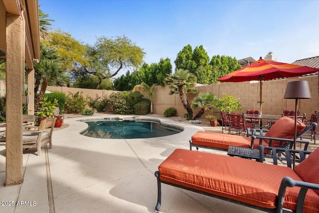 view of pool featuring a patio