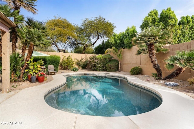 view of pool with a patio