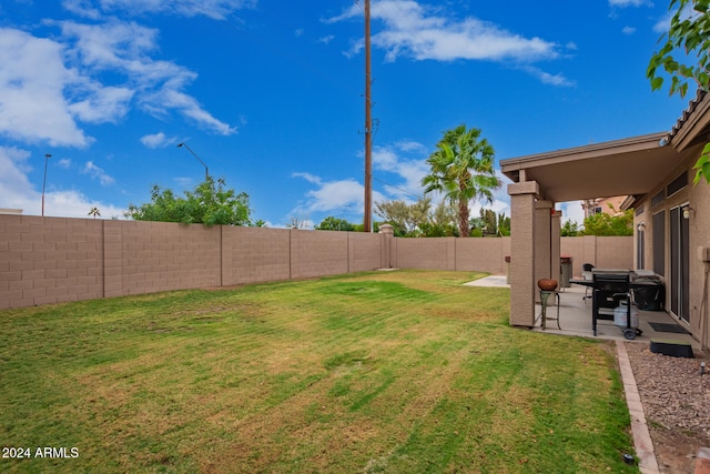 view of yard featuring a patio area