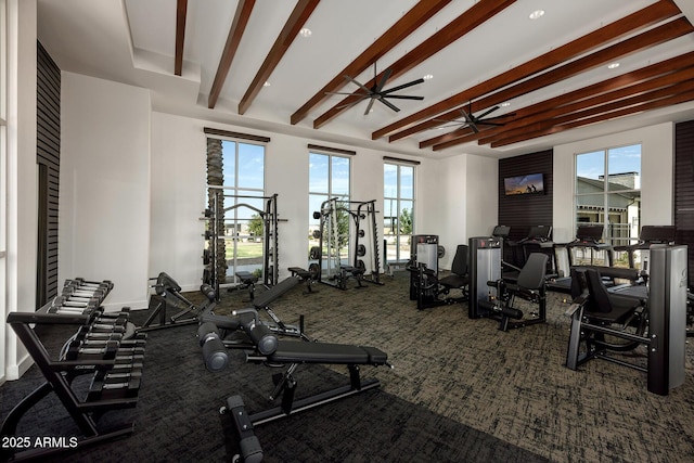 gym featuring plenty of natural light, carpet flooring, and ceiling fan