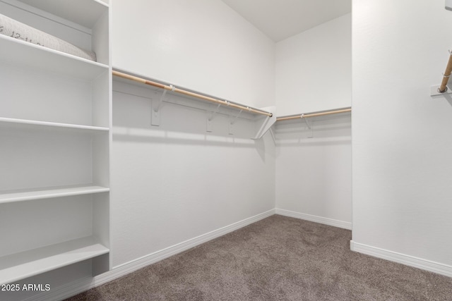 11660 W Luxton Ln, Avondale, AZ 85323 - walk in closet featuring carpet flooring