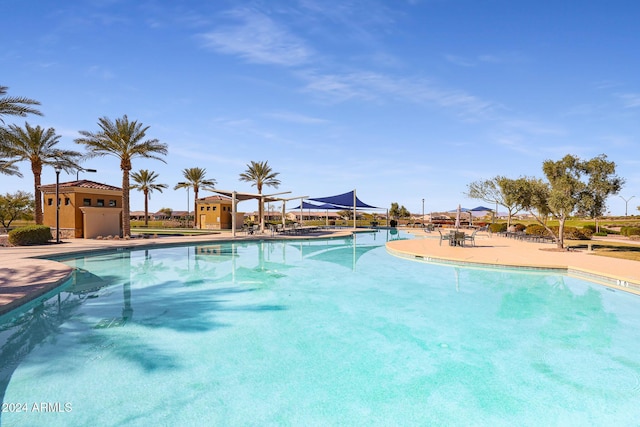 view of pool featuring a patio