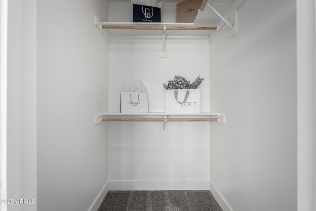 spacious closet featuring carpet floors