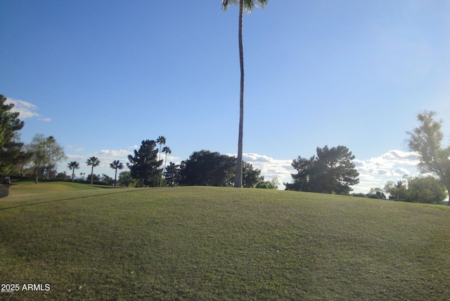 view of community featuring a yard