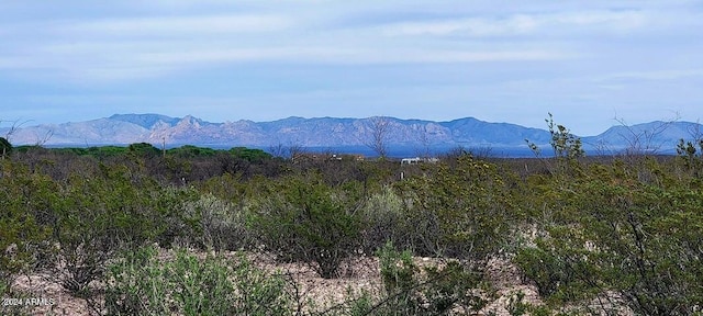 TBD N Willcox Rd Unit 5, Huachuca City AZ, 85616 land for sale