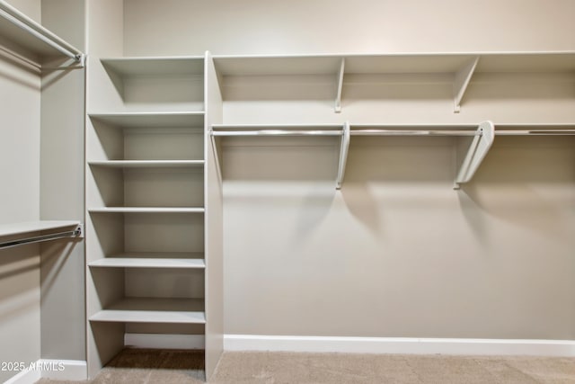 spacious closet featuring carpet floors