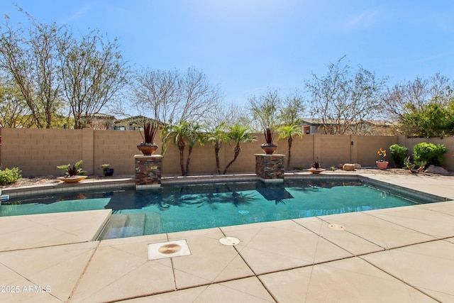 view of swimming pool with a patio, a fenced backyard, and a fenced in pool