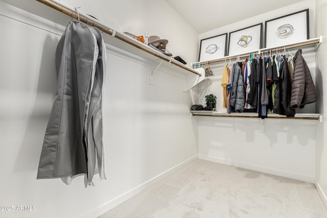 walk in closet with light carpet