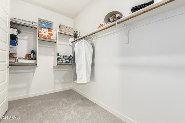 walk in closet featuring carpet floors