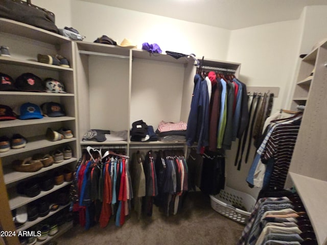 walk in closet with carpet flooring