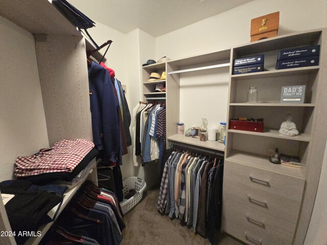 spacious closet with carpet