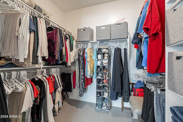 view of spacious closet