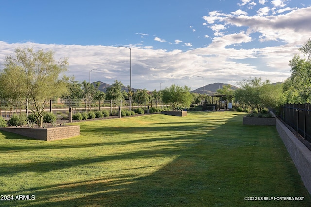 view of yard featuring a mountain view