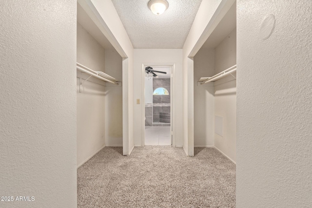 spacious closet with carpet flooring