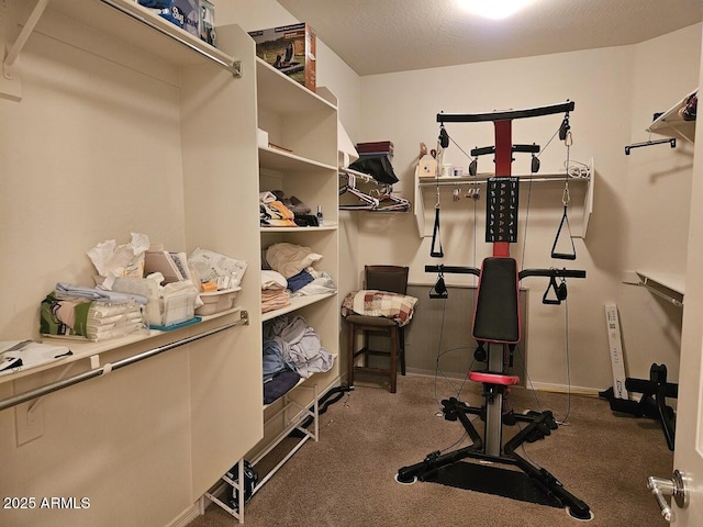 workout area with carpet