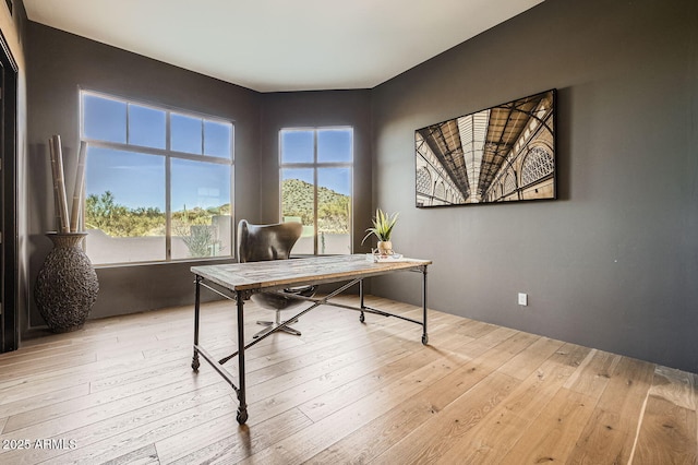 office area featuring light wood-type flooring