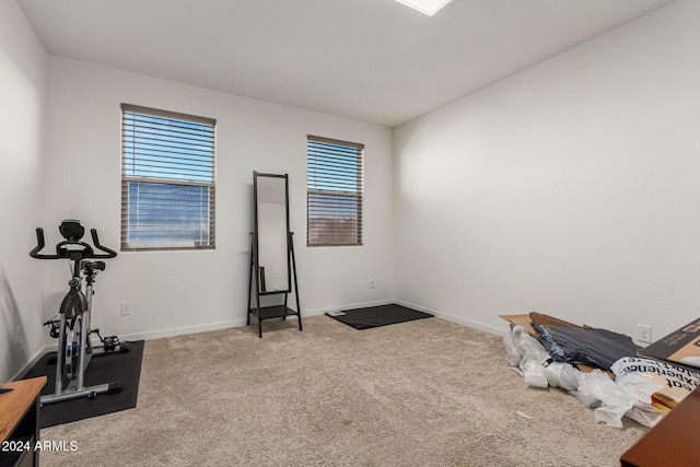 workout room featuring carpet and plenty of natural light