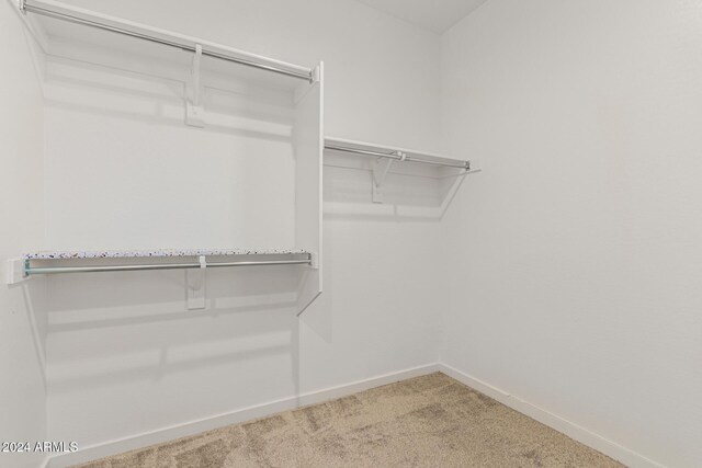 spacious closet with carpet flooring