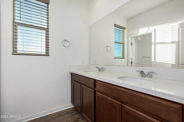 bathroom with vanity, hardwood / wood-style flooring, and plenty of natural light