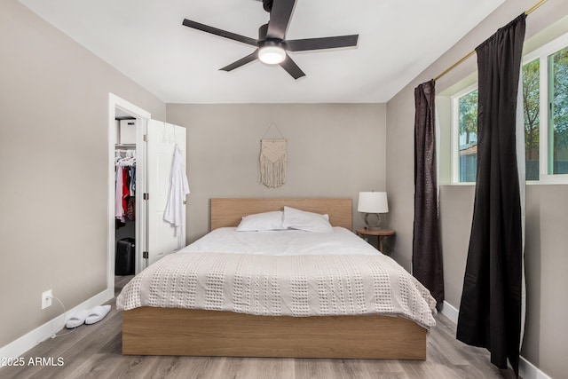 bedroom featuring a spacious closet, baseboards, wood finished floors, a ceiling fan, and a closet